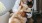 a person holding a dog
